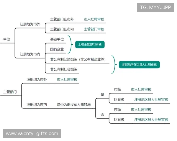 新手必看:PA官方入口的注册与使用流程说明