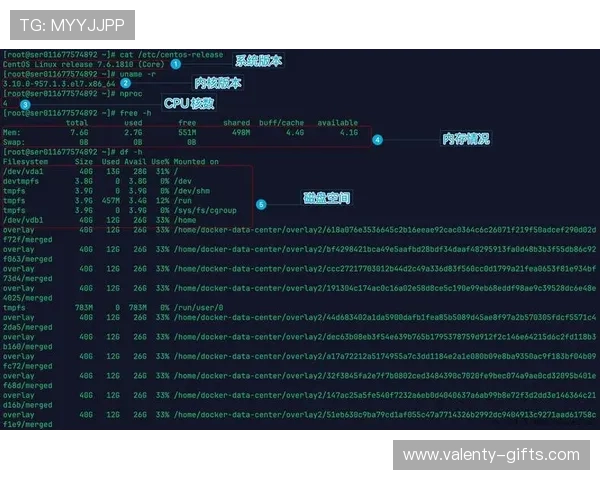 体验DB真人试玩的最佳方法，详细介绍新手入门必备技巧与注意事项